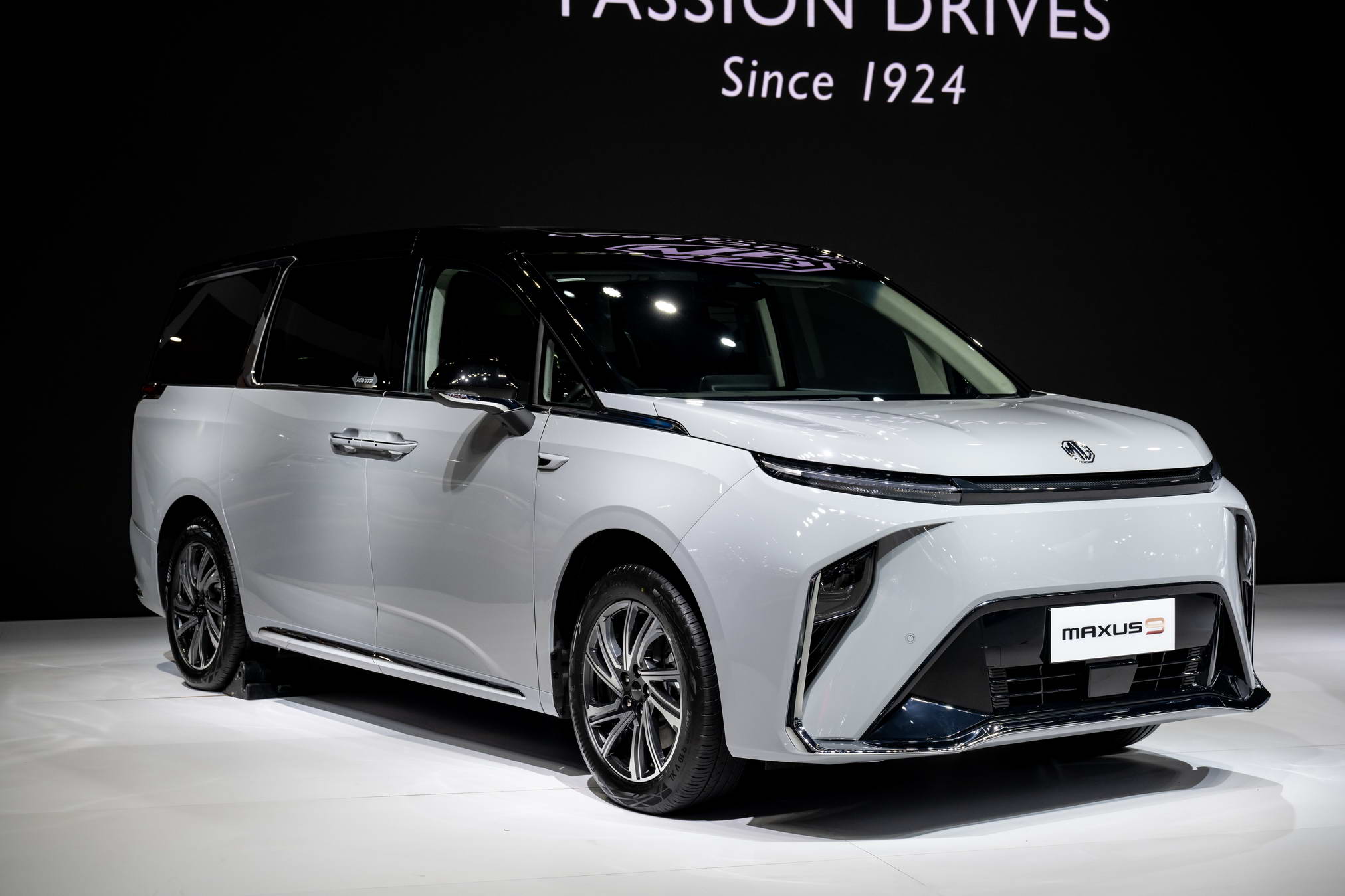 66_03_23 MG by Fluke (3)_resize