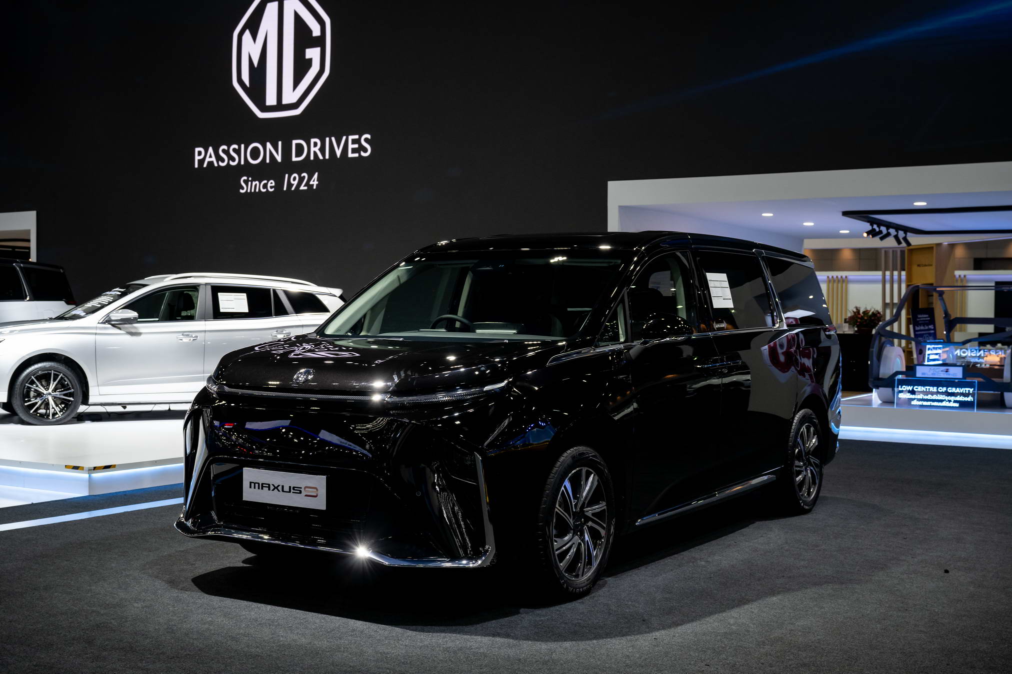 66_03_23 MG by Fluke (5)_resize