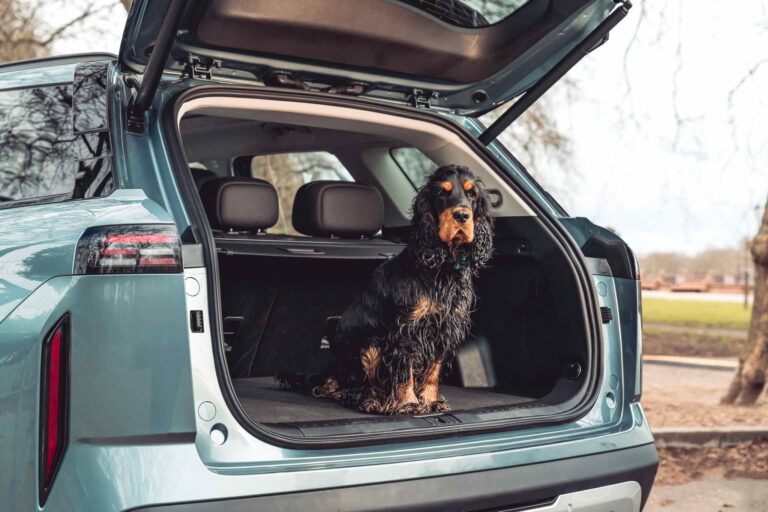 5.-JAECOO-7-SHS-with-dog-in-boot.-jpg