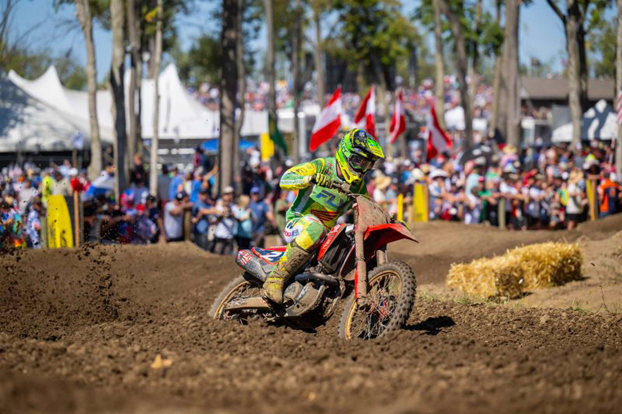 68e3dddd2bd105.55399944