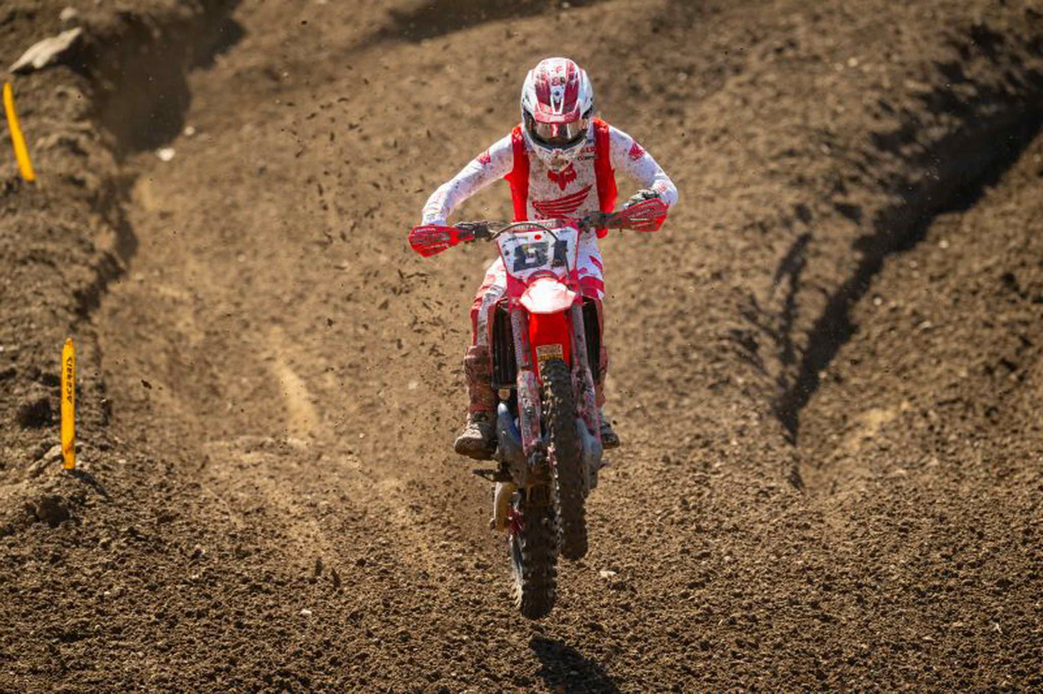 68e3df7997c753.45062987