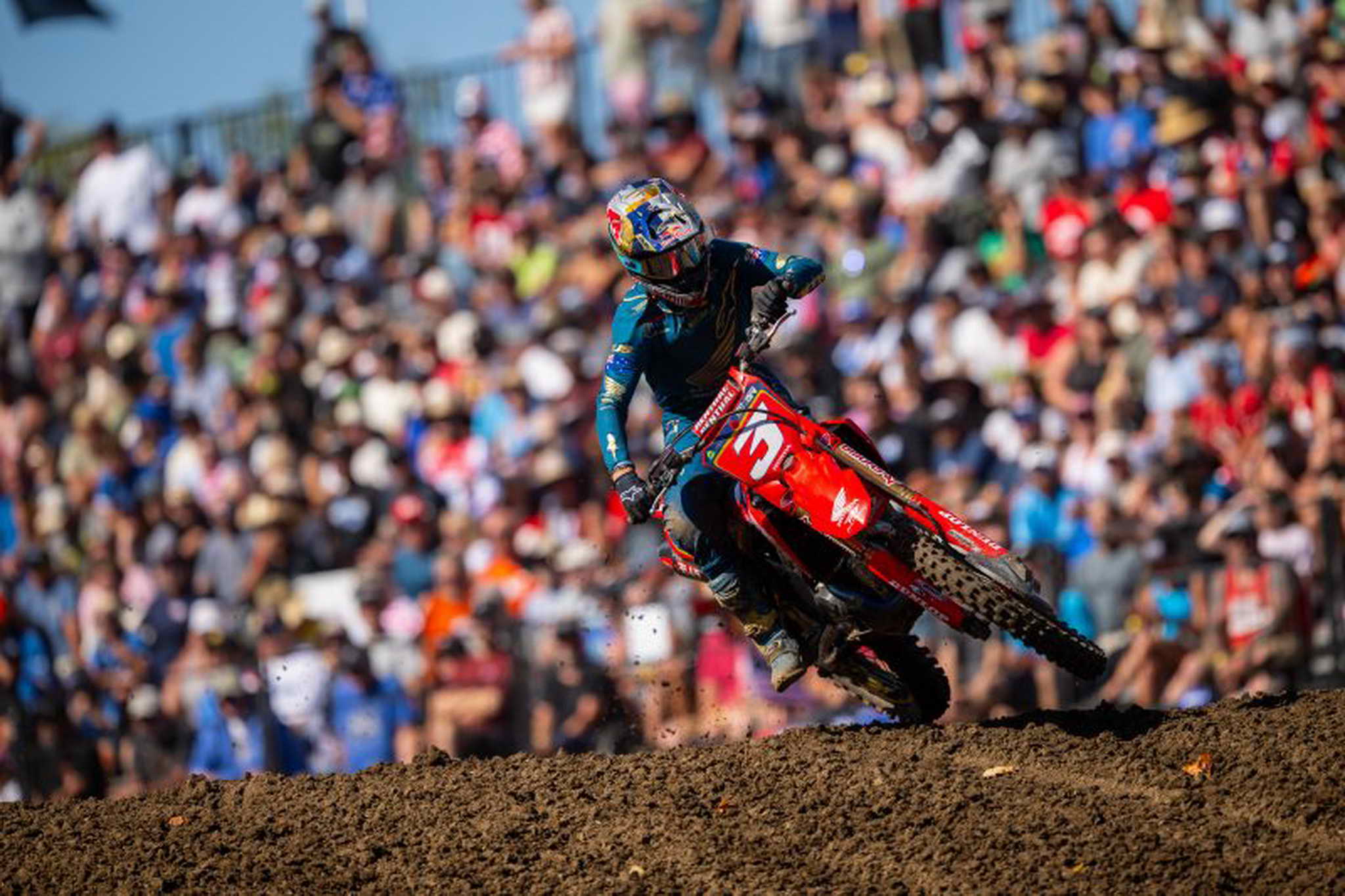 68e3dfcdc24401.36034530