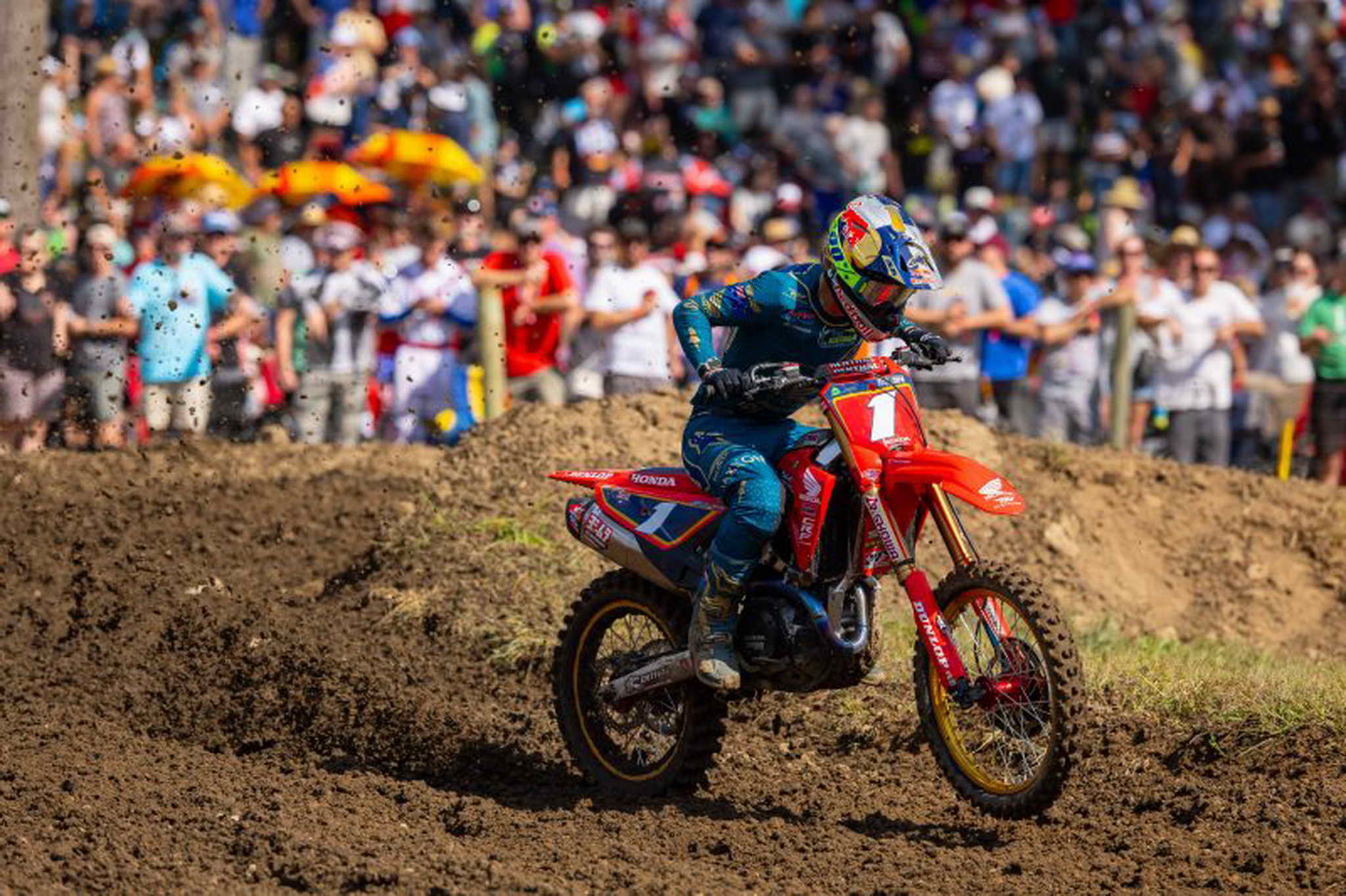 68e3e1f5cee729.42736055