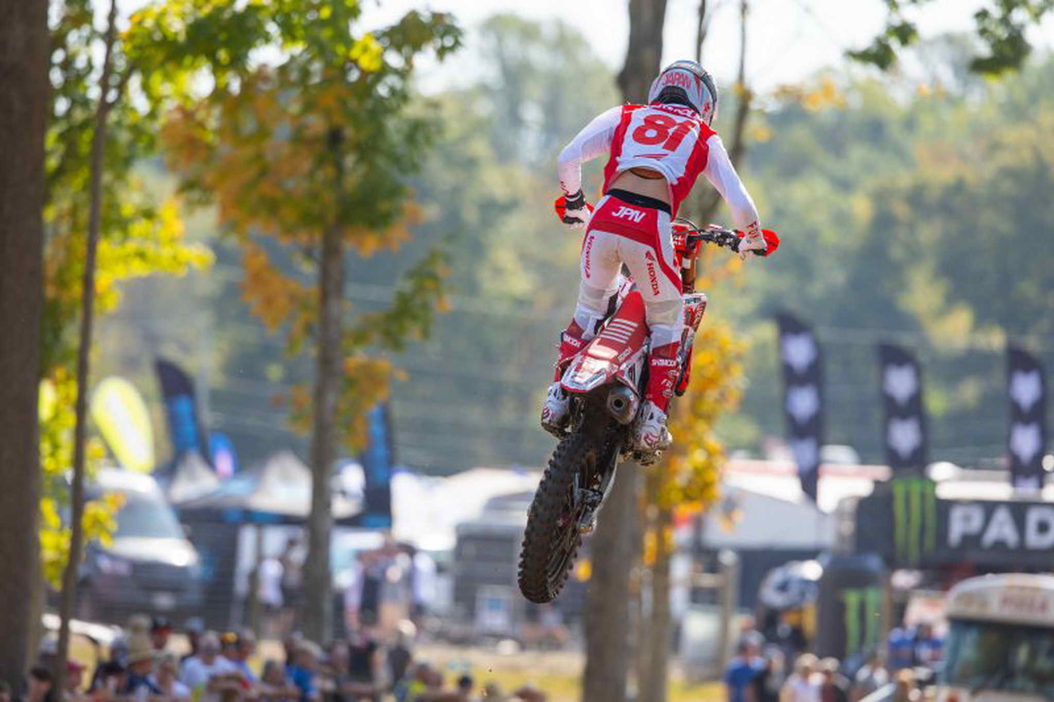 68e3e2eeb59e23.80581178